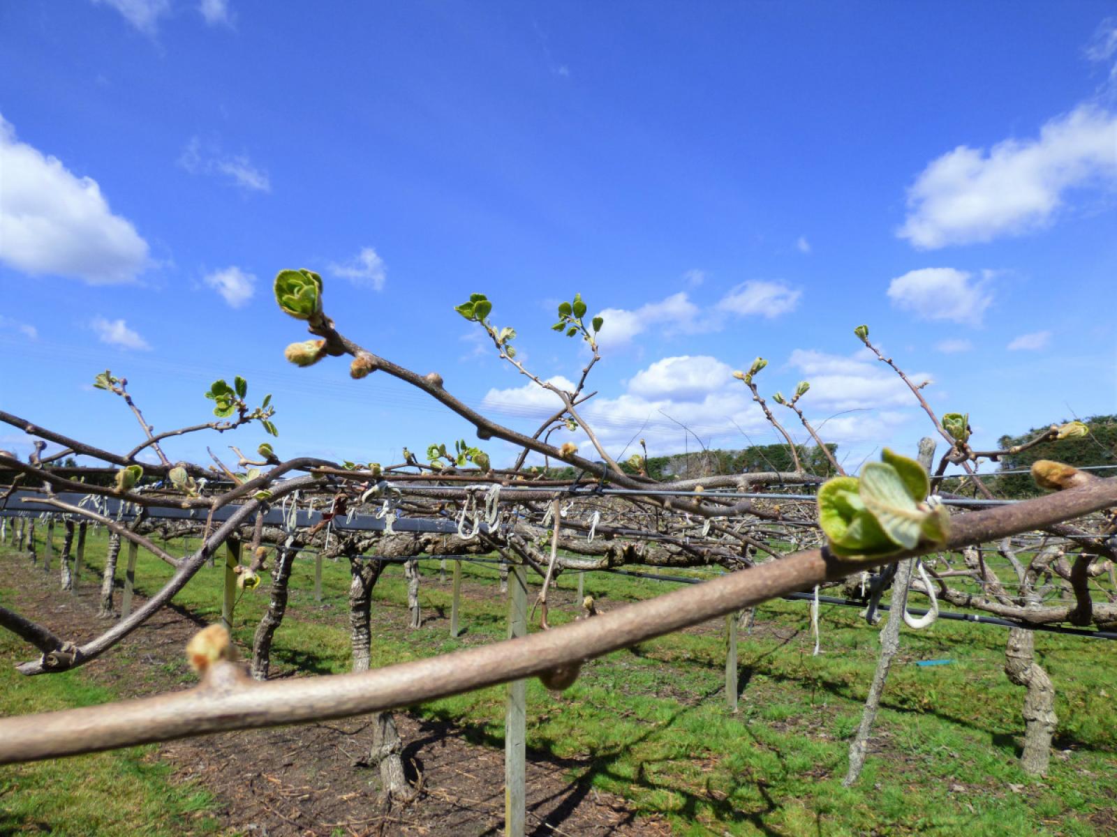 98 Angle Road, Awakeri