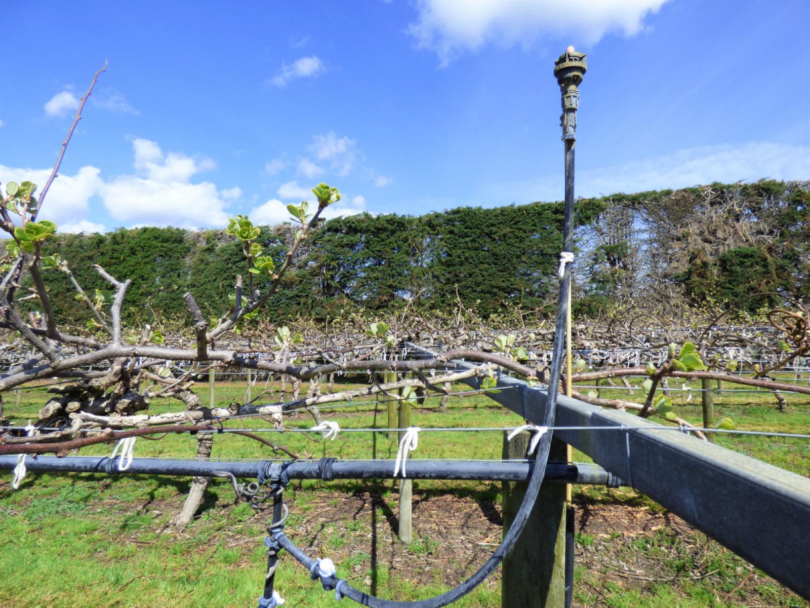 98 Angle Road, Awakeri