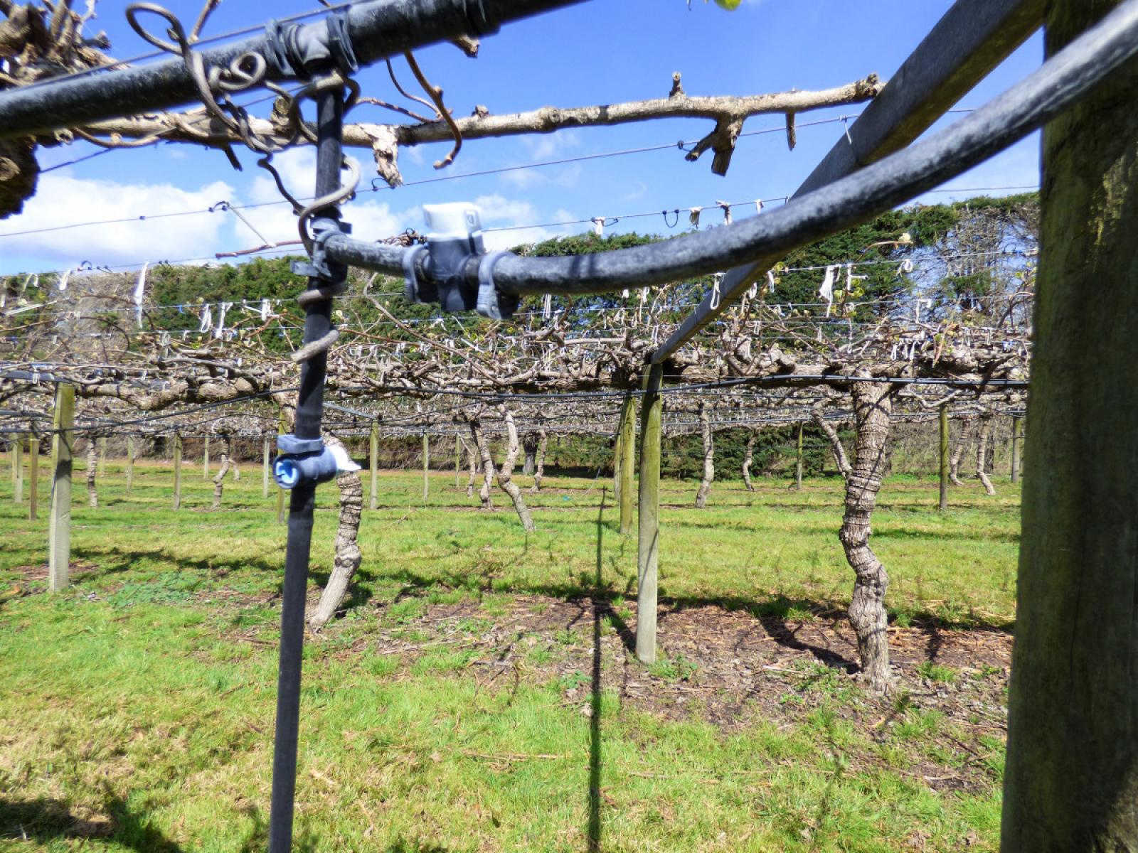 98 Angle Road, Awakeri