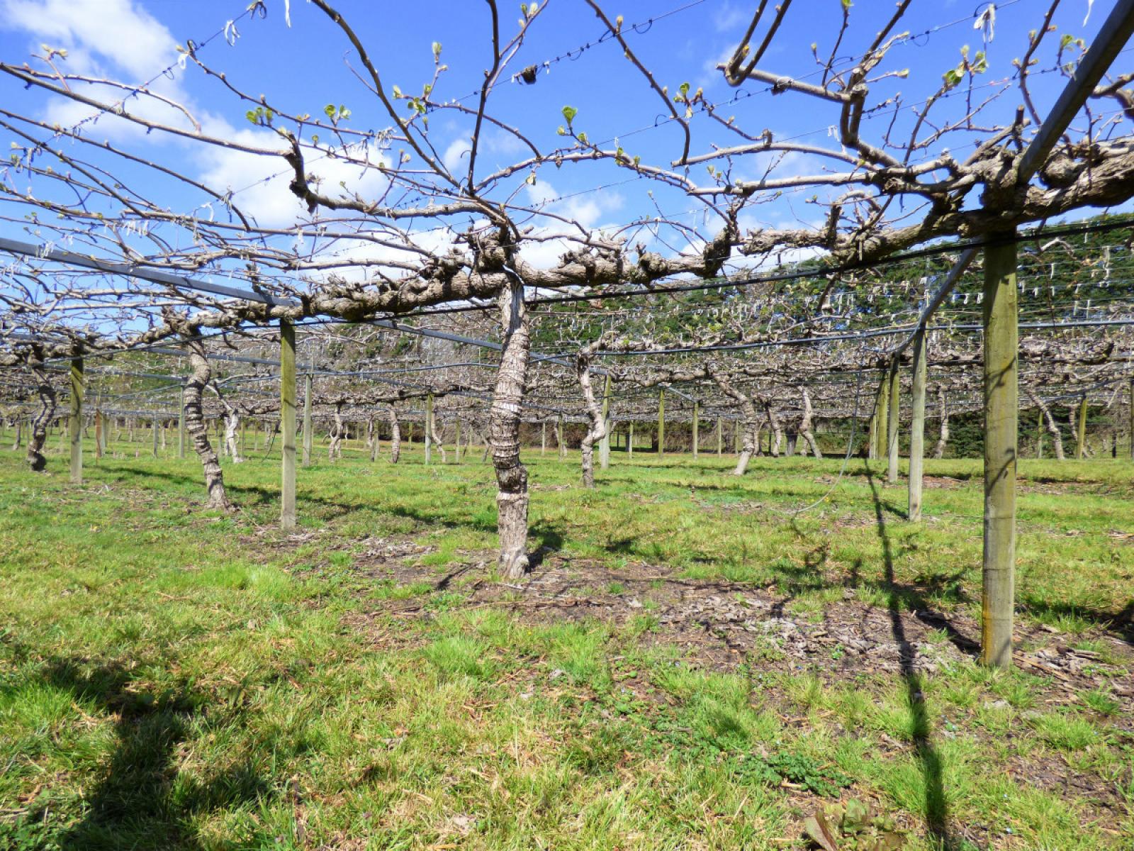 98 Angle Road, Awakeri