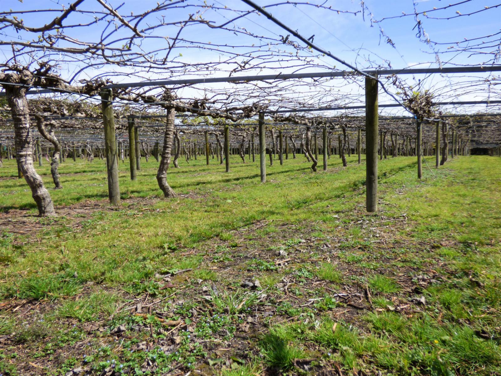 98 Angle Road, Awakeri