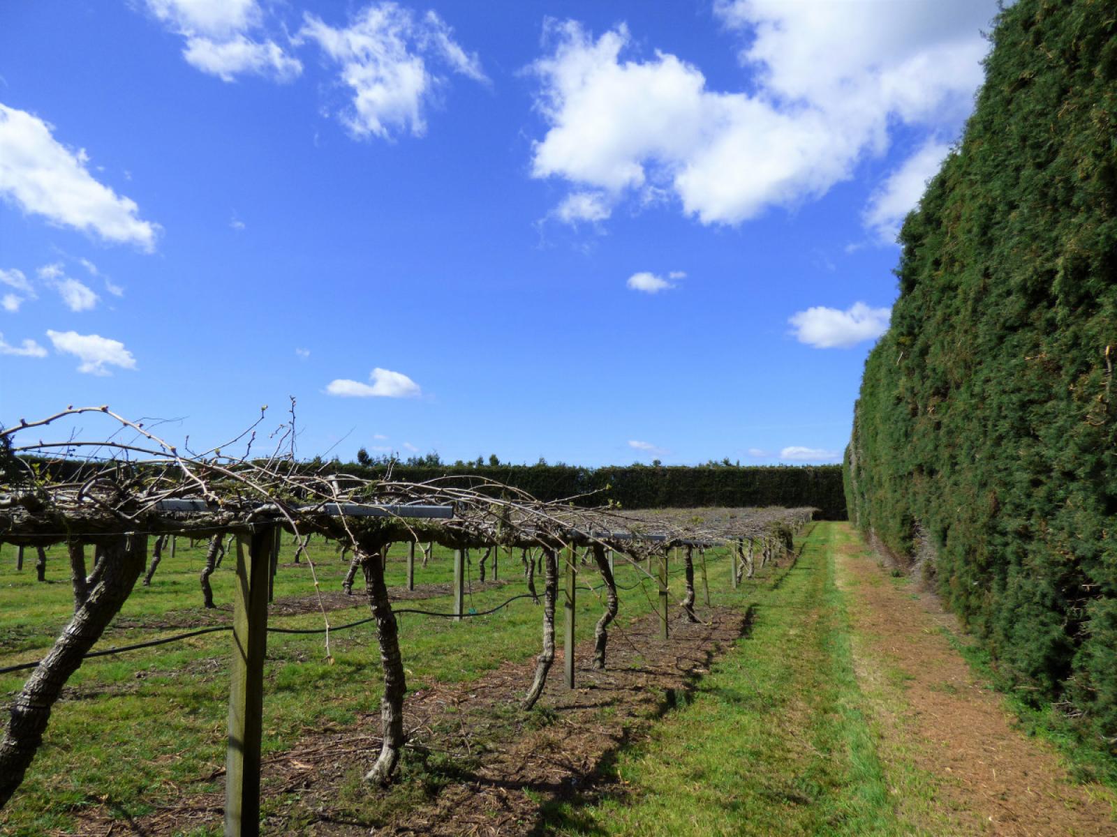 98 Angle Road, Awakeri