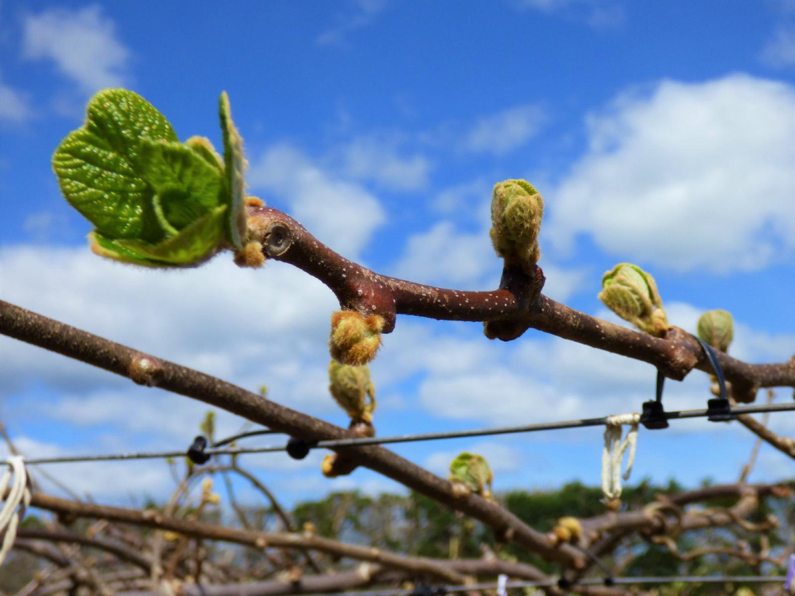 98 Angle Road, Awakeri