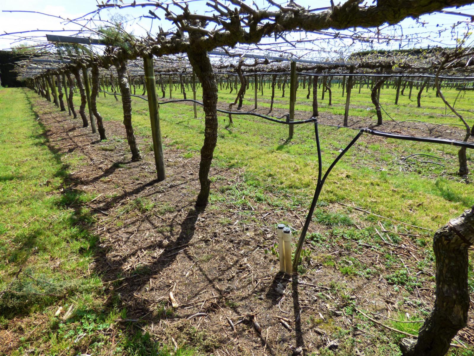 98 Angle Road, Awakeri