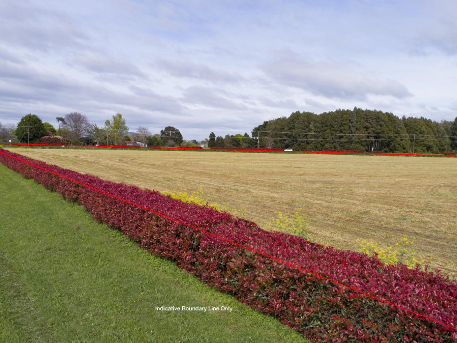 Wairere Road, Waharoa
