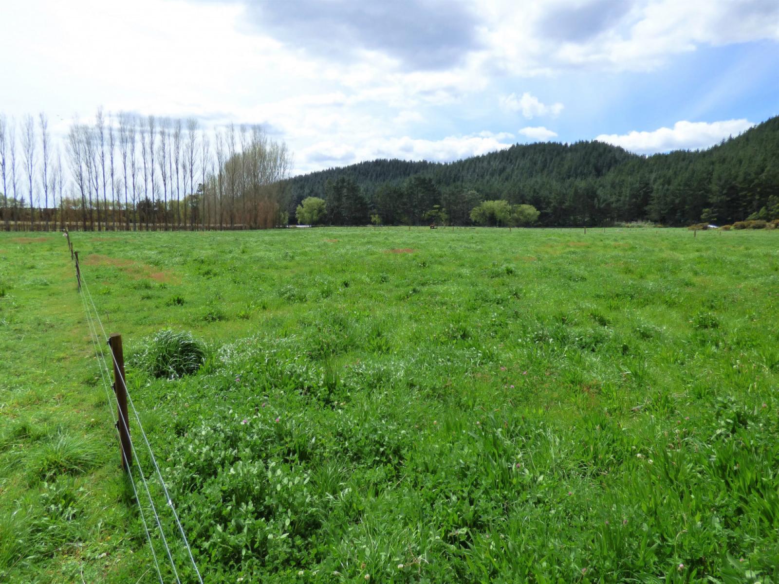 419 MacDonald Road, Te Teko