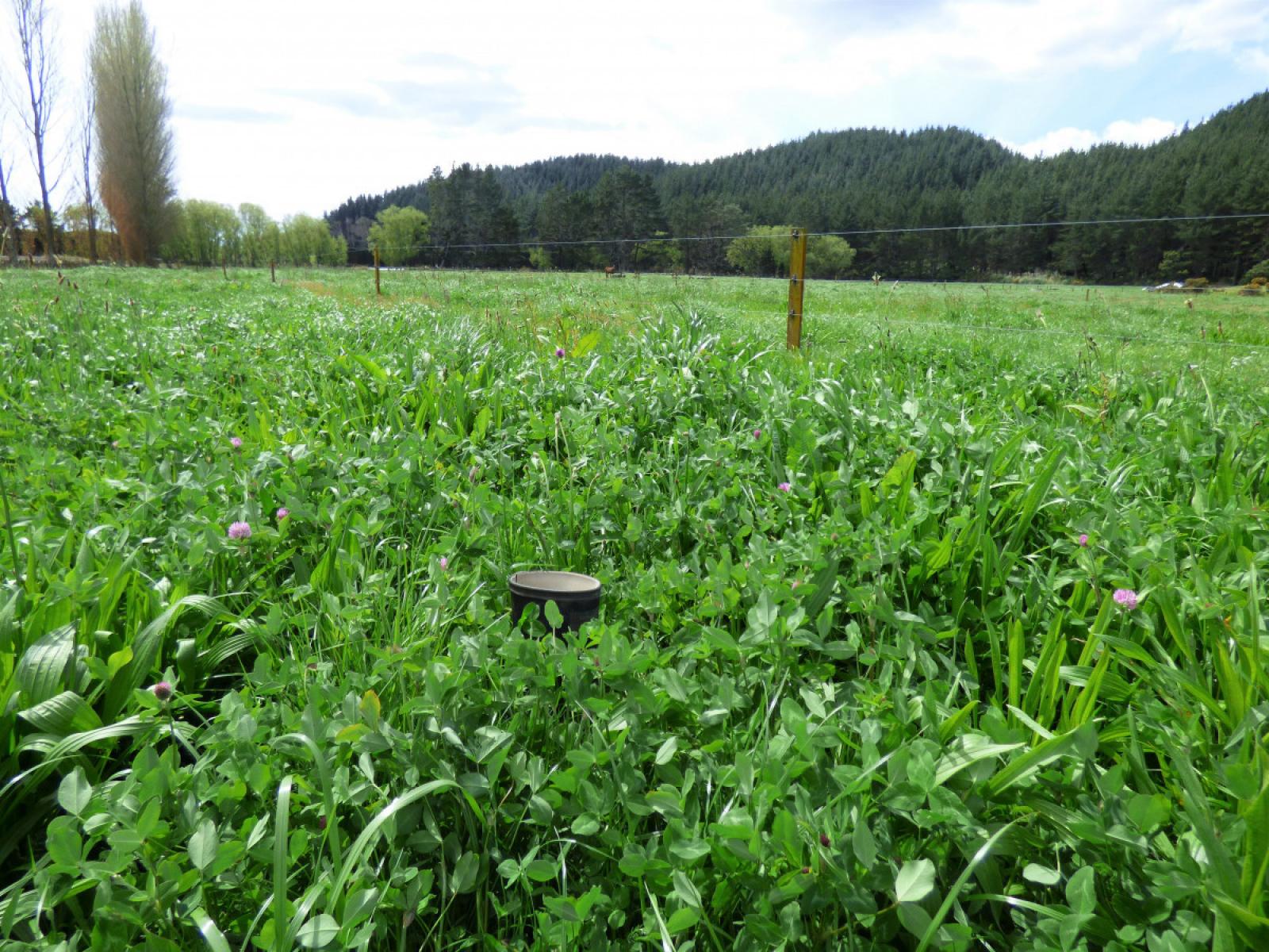 419 MacDonald Road, Te Teko