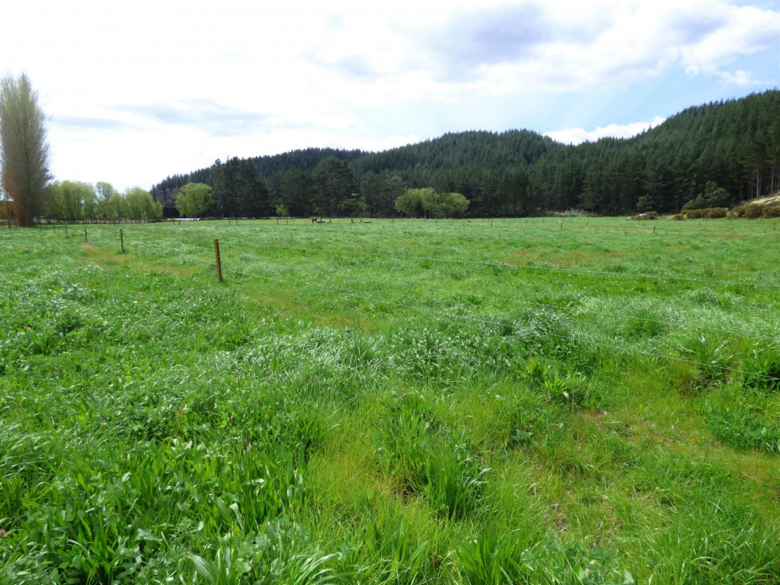 419 MacDonald Road, Te Teko