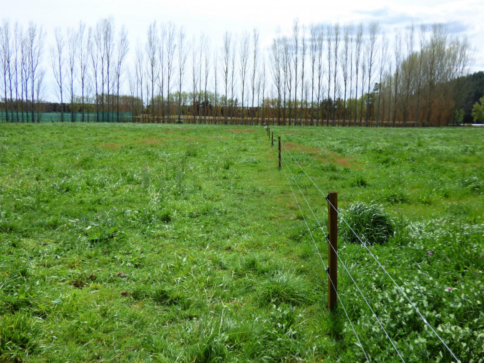 419 MacDonald Road, Te Teko