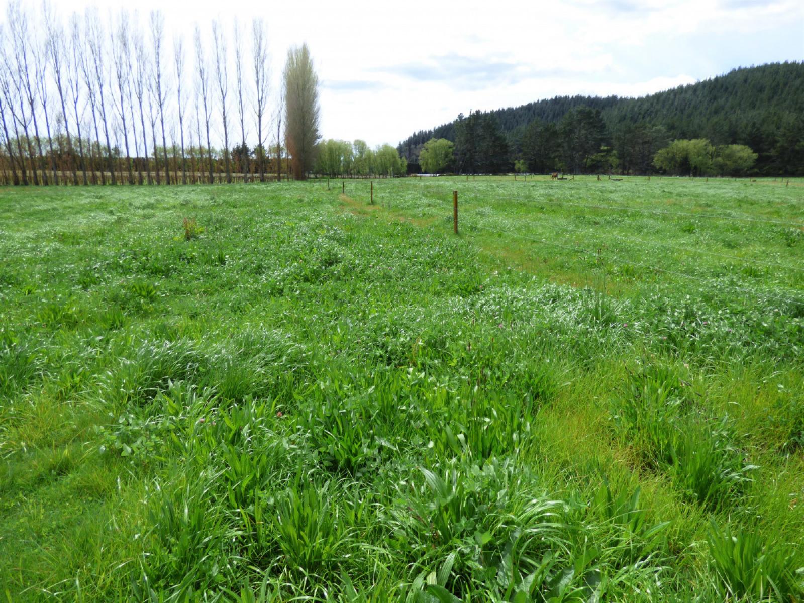 419 MacDonald Road, Te Teko