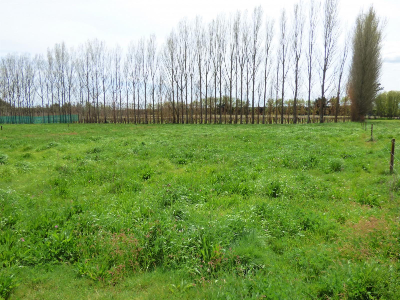 419 MacDonald Road, Te Teko