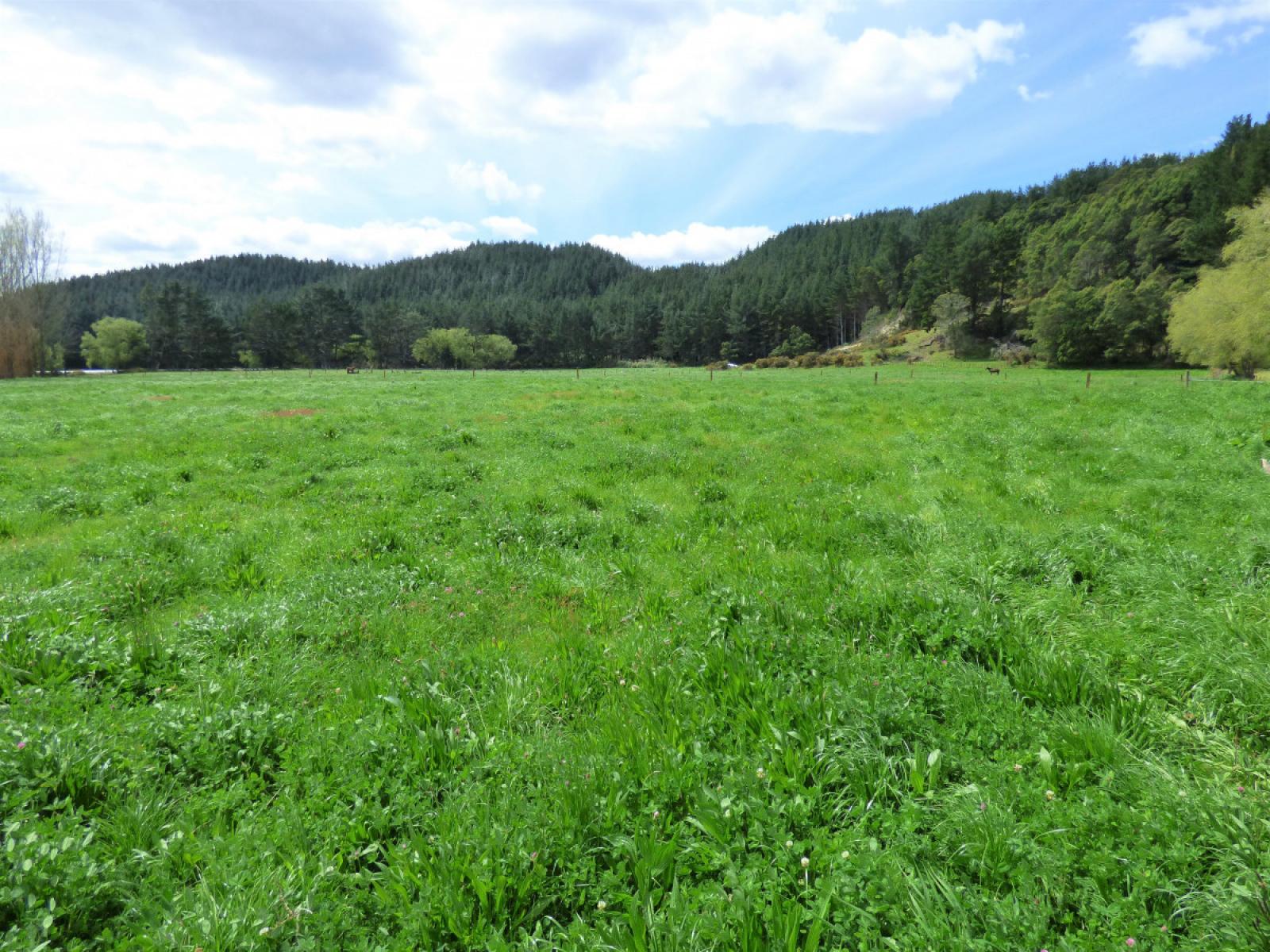 419 MacDonald Road, Te Teko