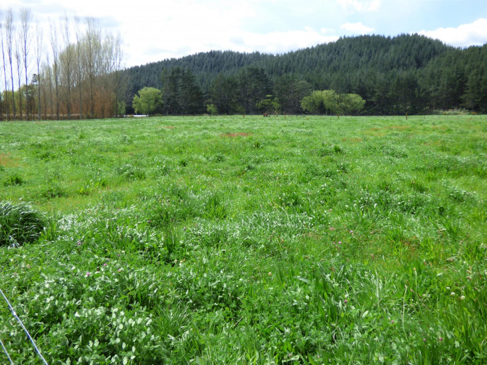 419 MacDonald Road, Te Teko