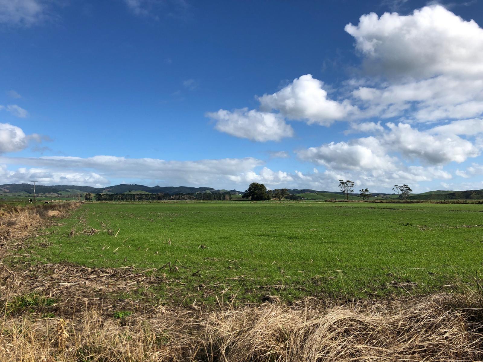 22 Rountree Road, Ngatea