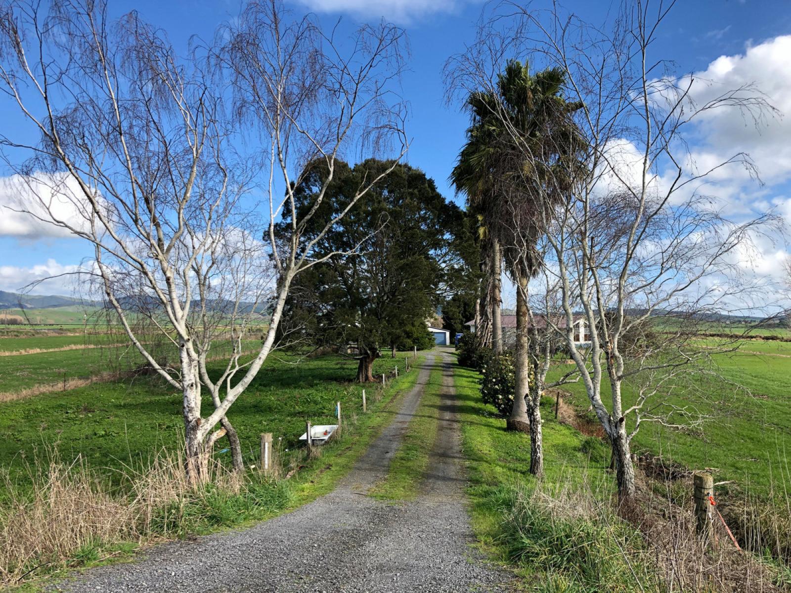 22 Rountree Road, Ngatea