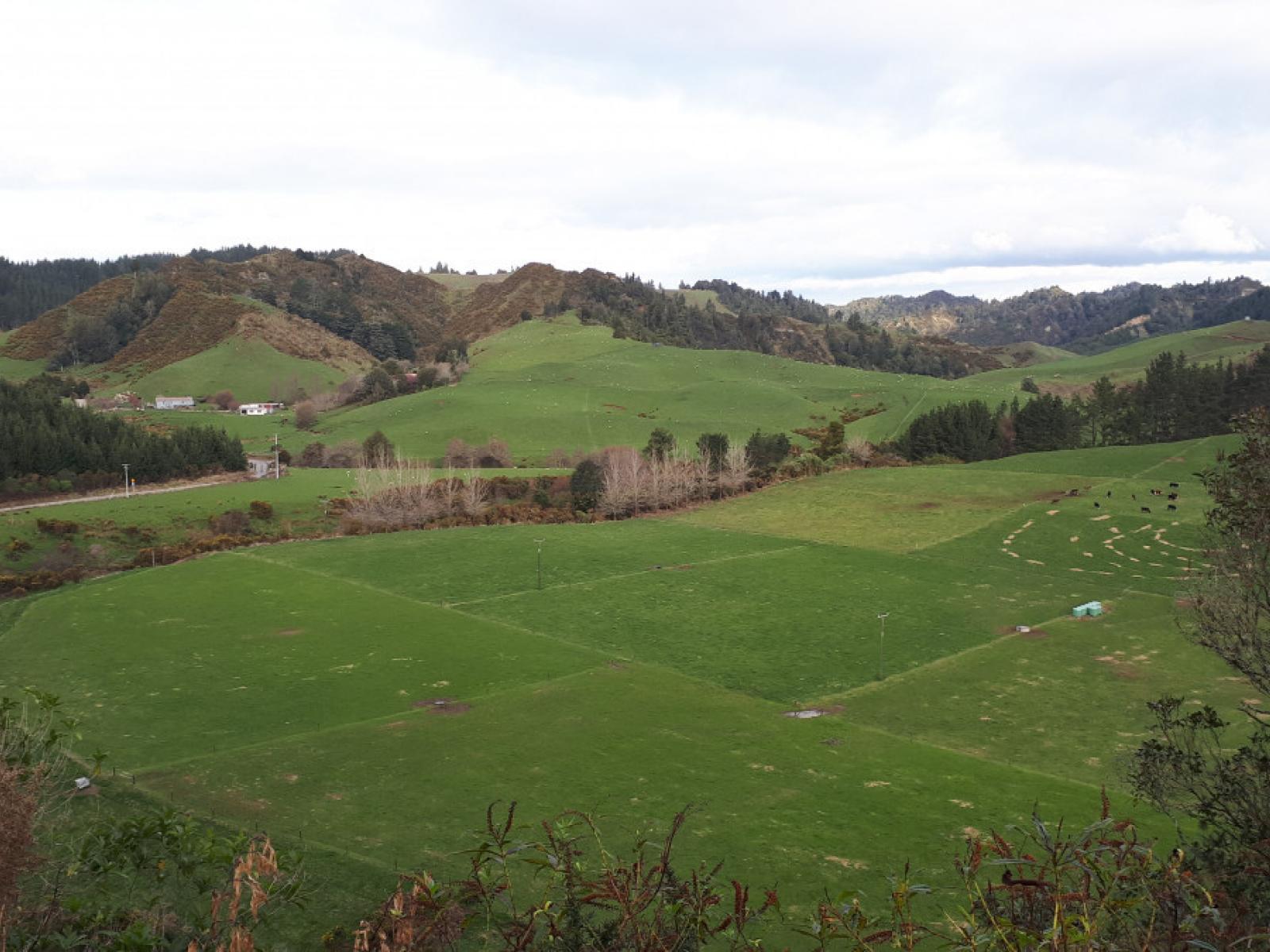 490 Autawa Road, Tarata