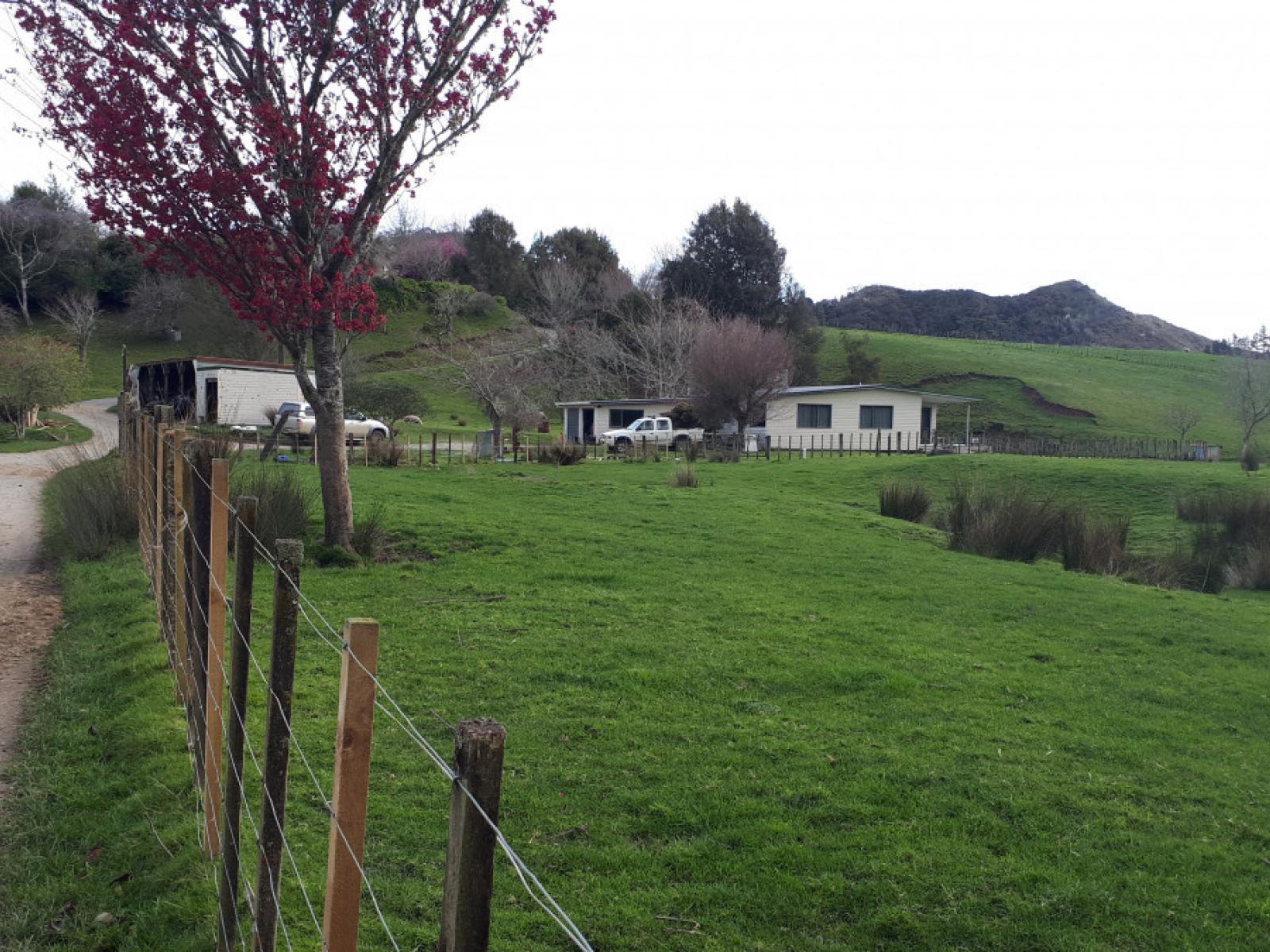 490 Autawa Road, Tarata