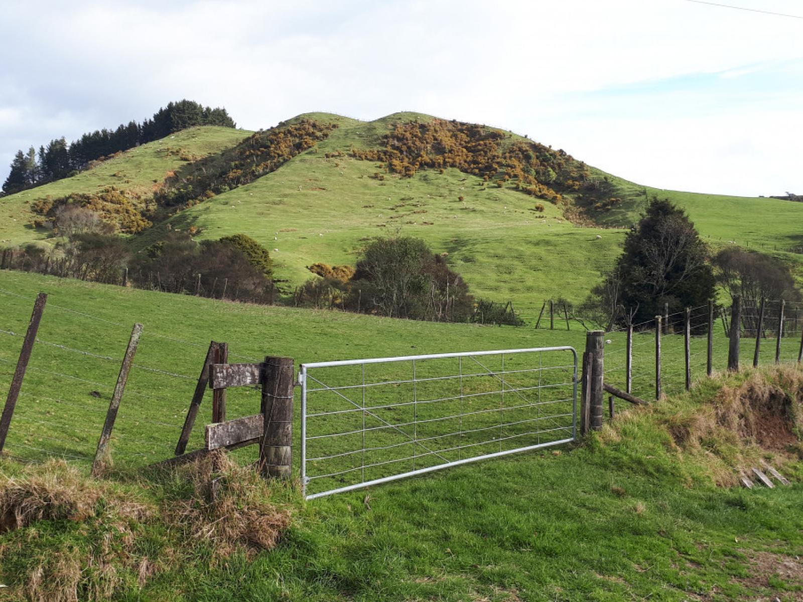 490 Autawa Road, Tarata