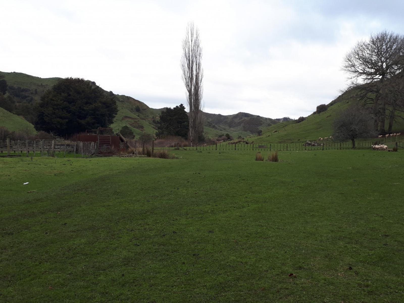 490 Autawa Road, Tarata