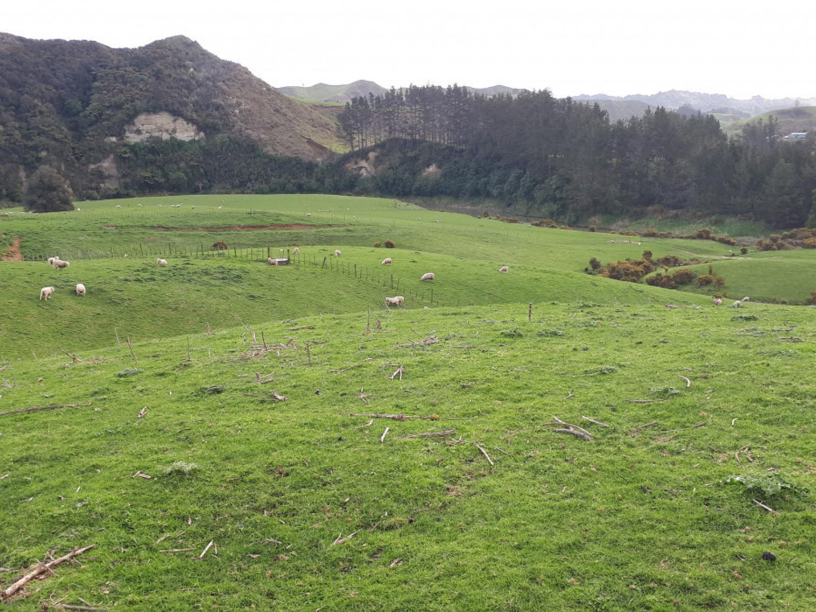 490 Autawa Road, Tarata