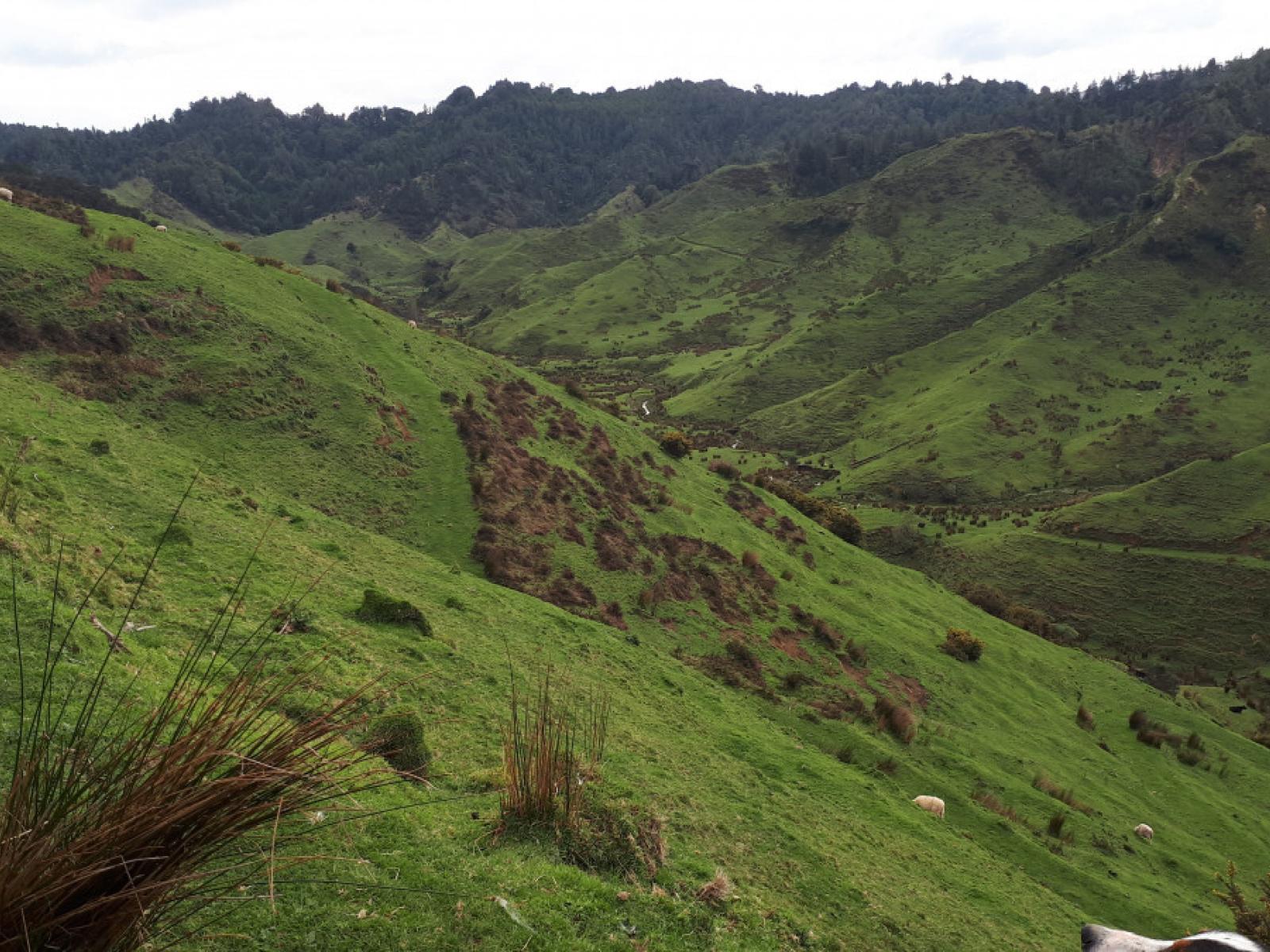 490 Autawa Road, Tarata