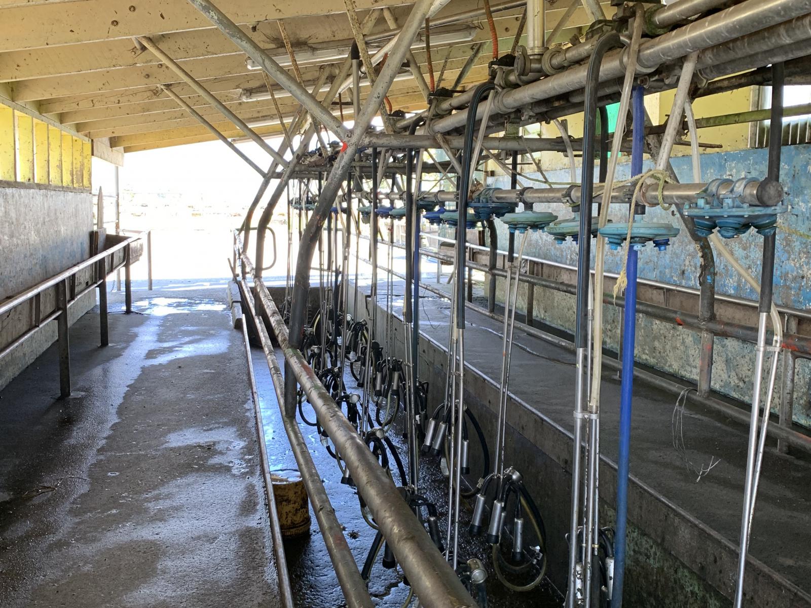 1575 Kaniere-Kowhitirangi Road, Hokitika