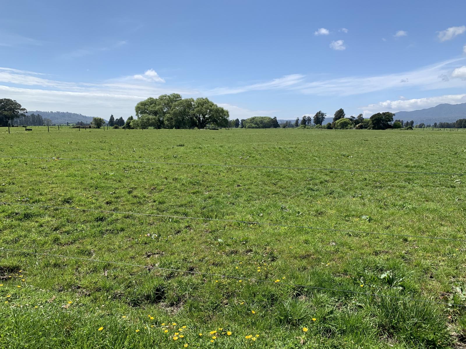 1575 Kaniere-Kowhitirangi Road, Hokitika