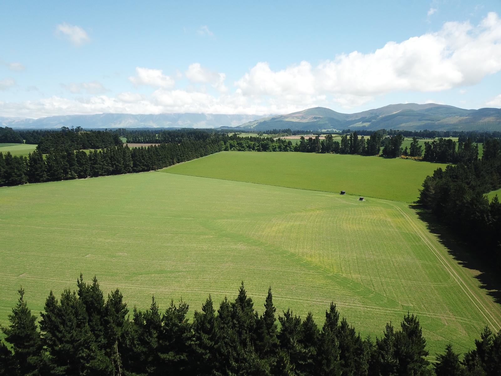 FOR LEASE, 263 Windwhistle Road, Glenroy