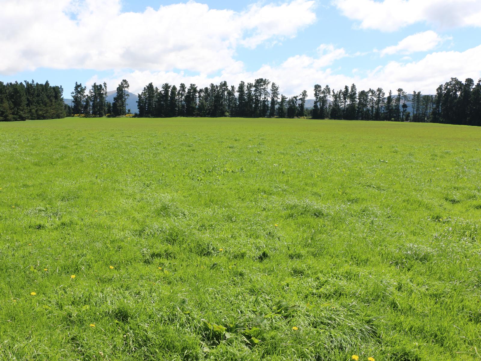 FOR LEASE, 263 Windwhistle Road, Glenroy