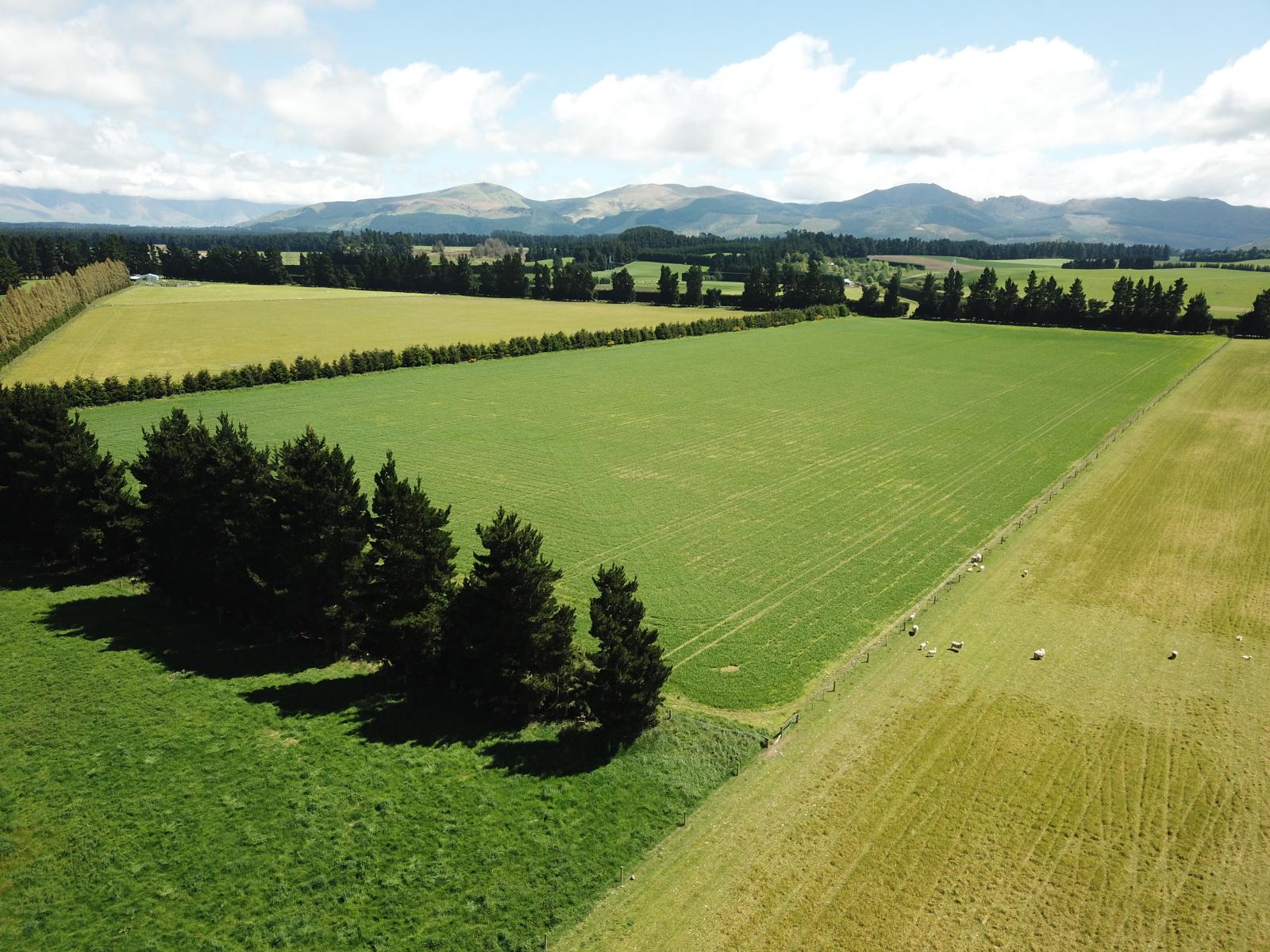 FOR LEASE, 263 Windwhistle Road, Glenroy