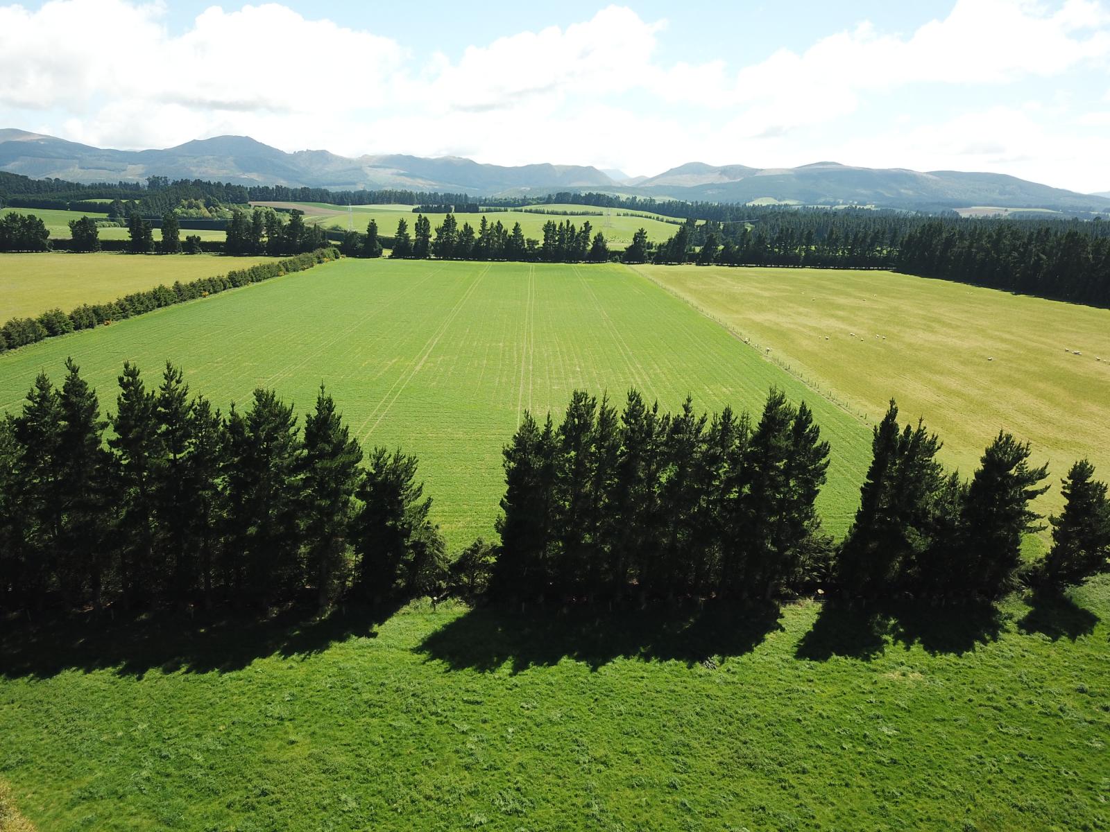 FOR LEASE, 263 Windwhistle Road, Glenroy