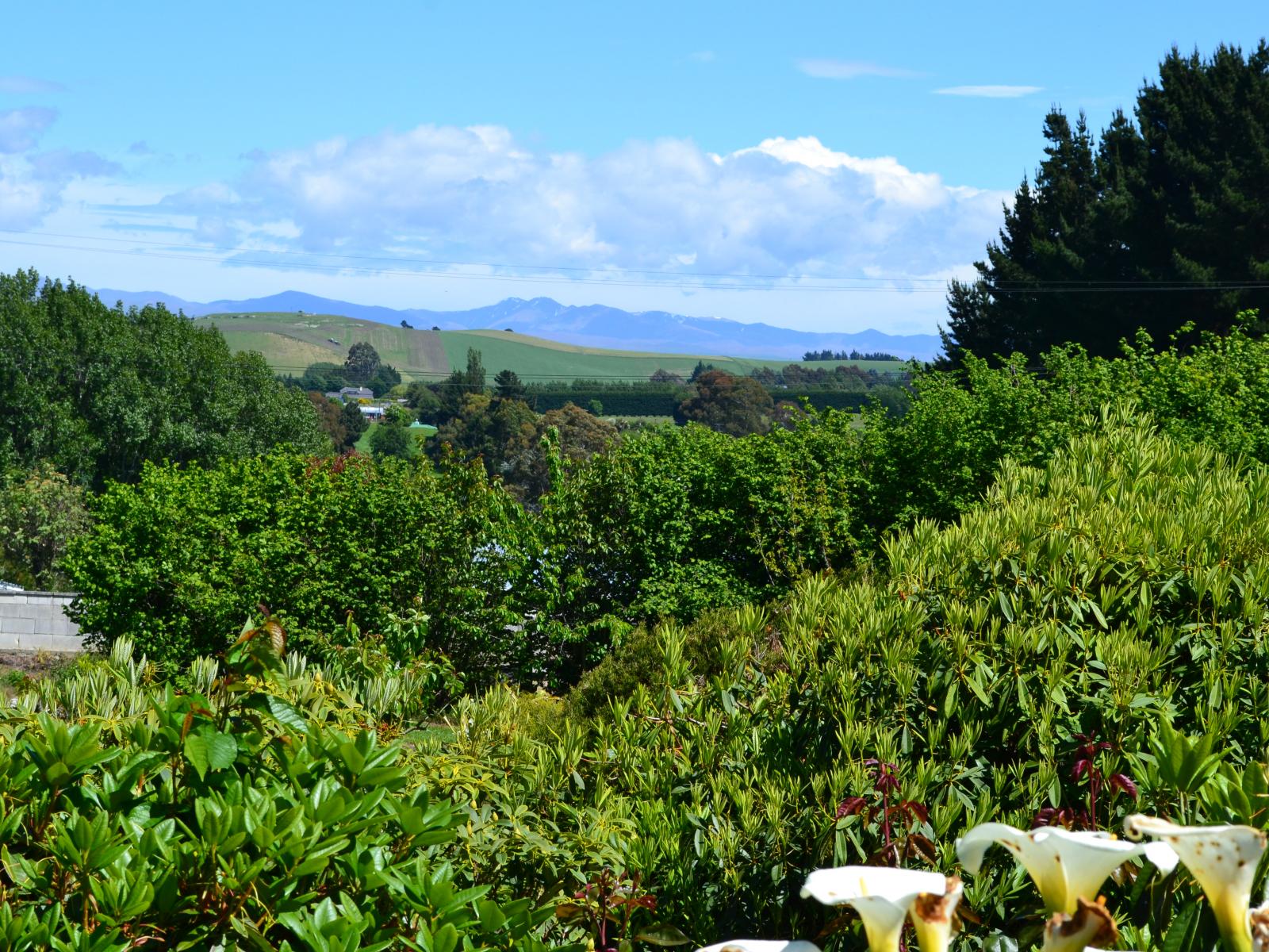 79 Maudes Road, Deborah