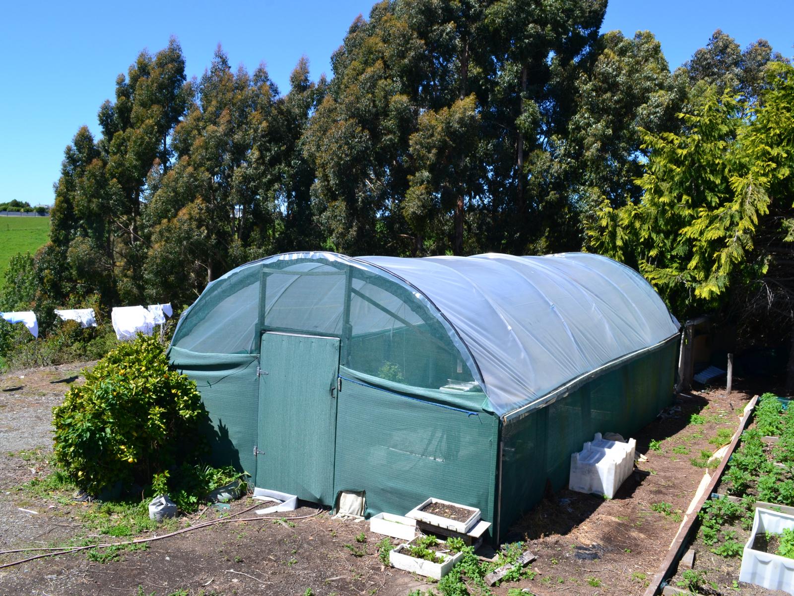 79 Maudes Road, Deborah