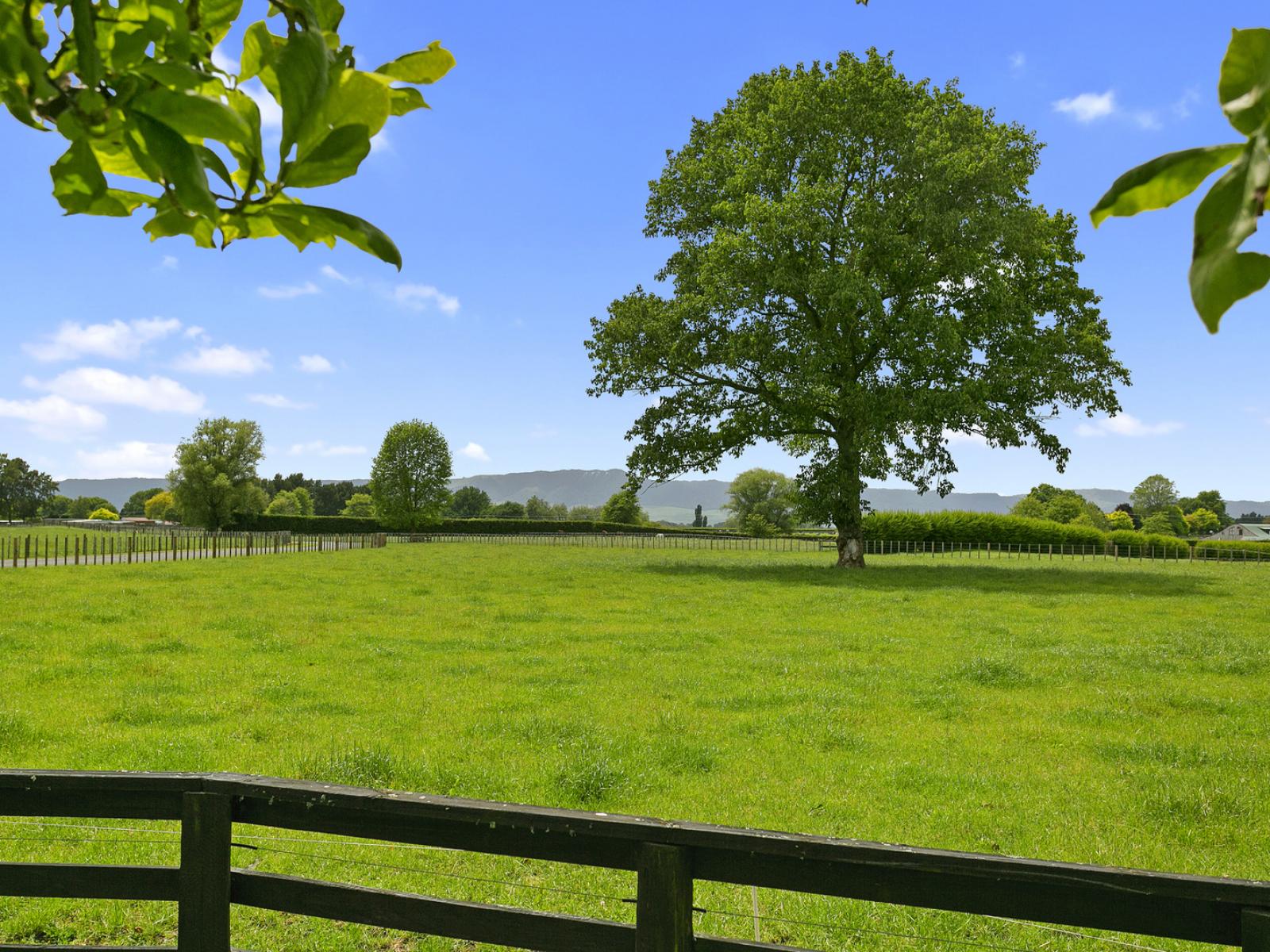 19 Puketutu Road, Matamata