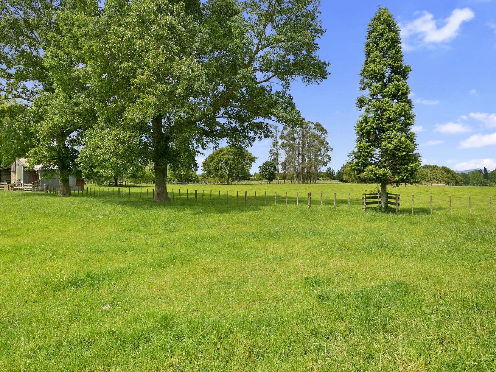 19 Puketutu Road, Matamata