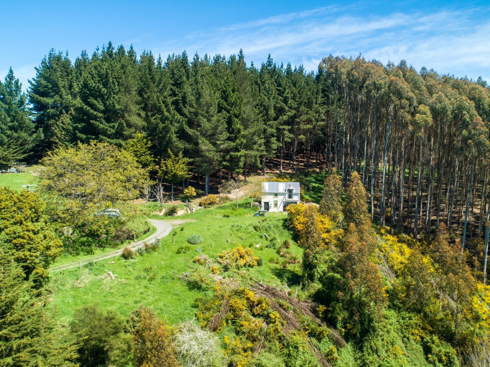 61 Coutts Gully Road, Brighton 61 Coutts Gully Road, Brighton