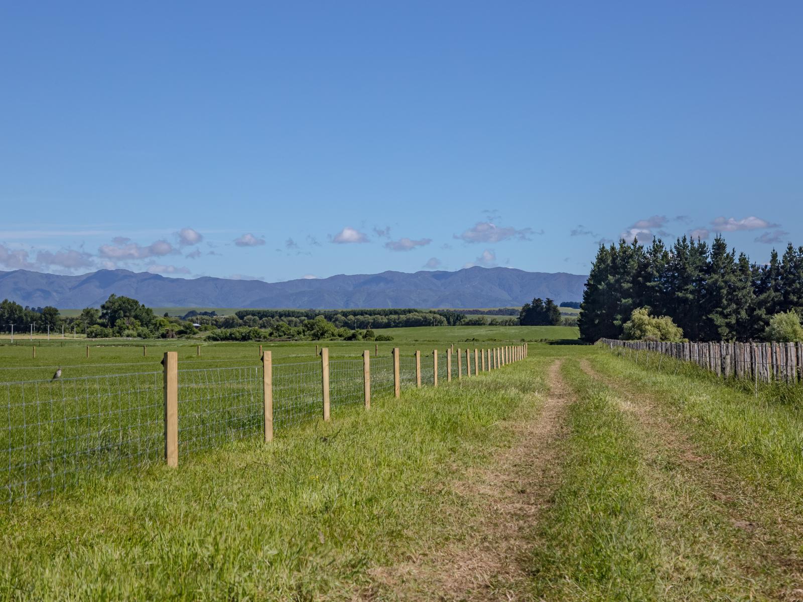 18 Mahaki Road, Martinborough