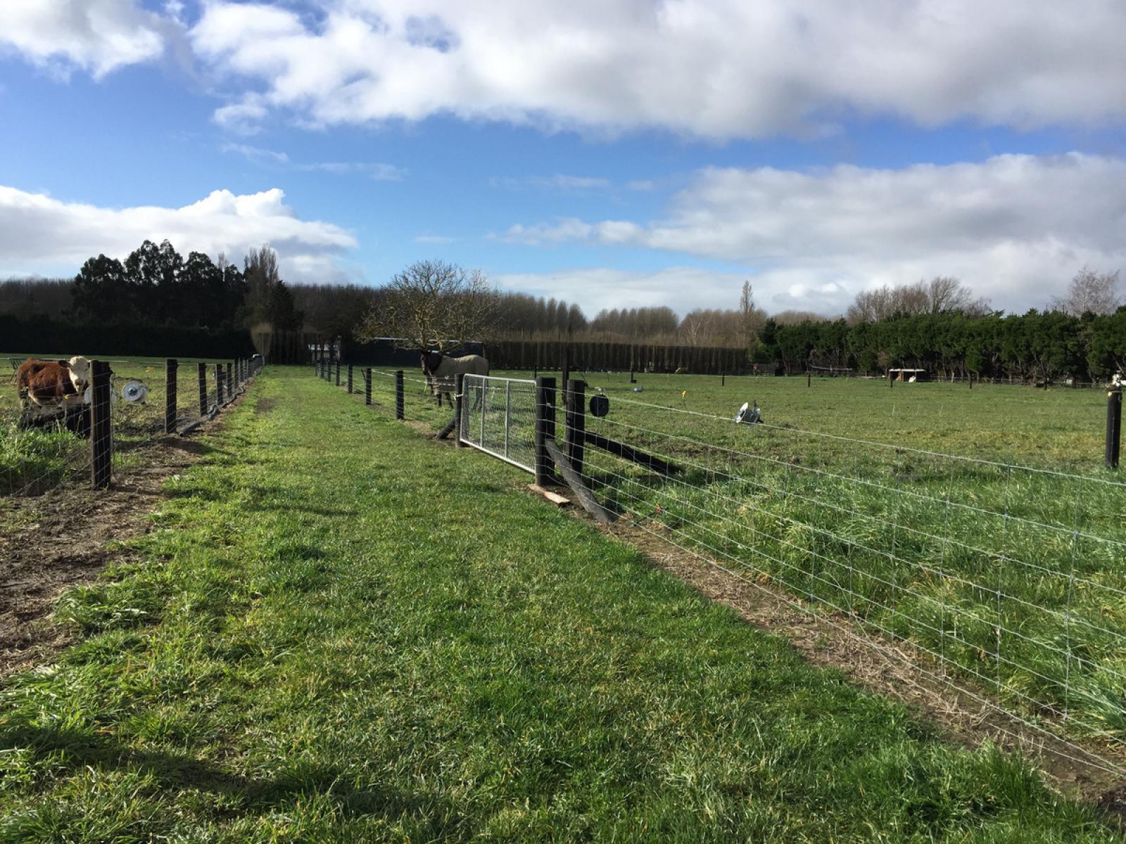 Wilkins Road, Ashburton