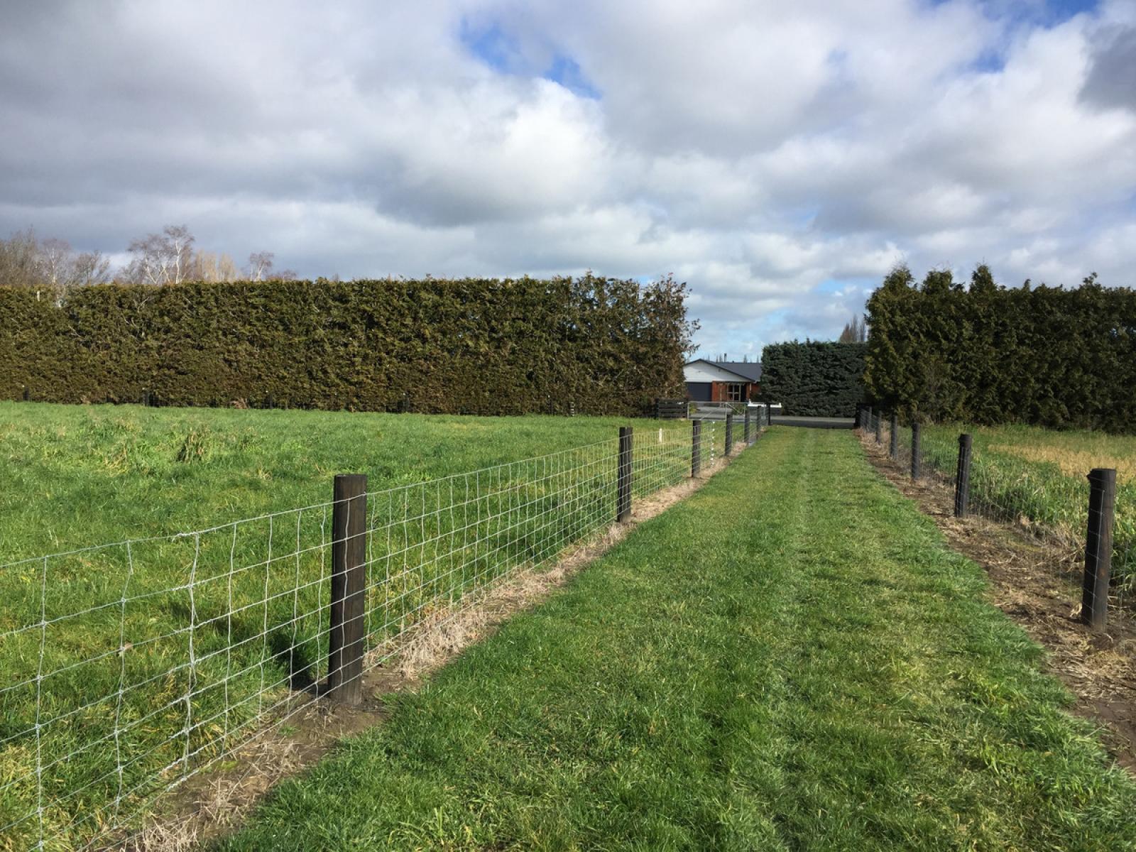 Wilkins Road, Ashburton