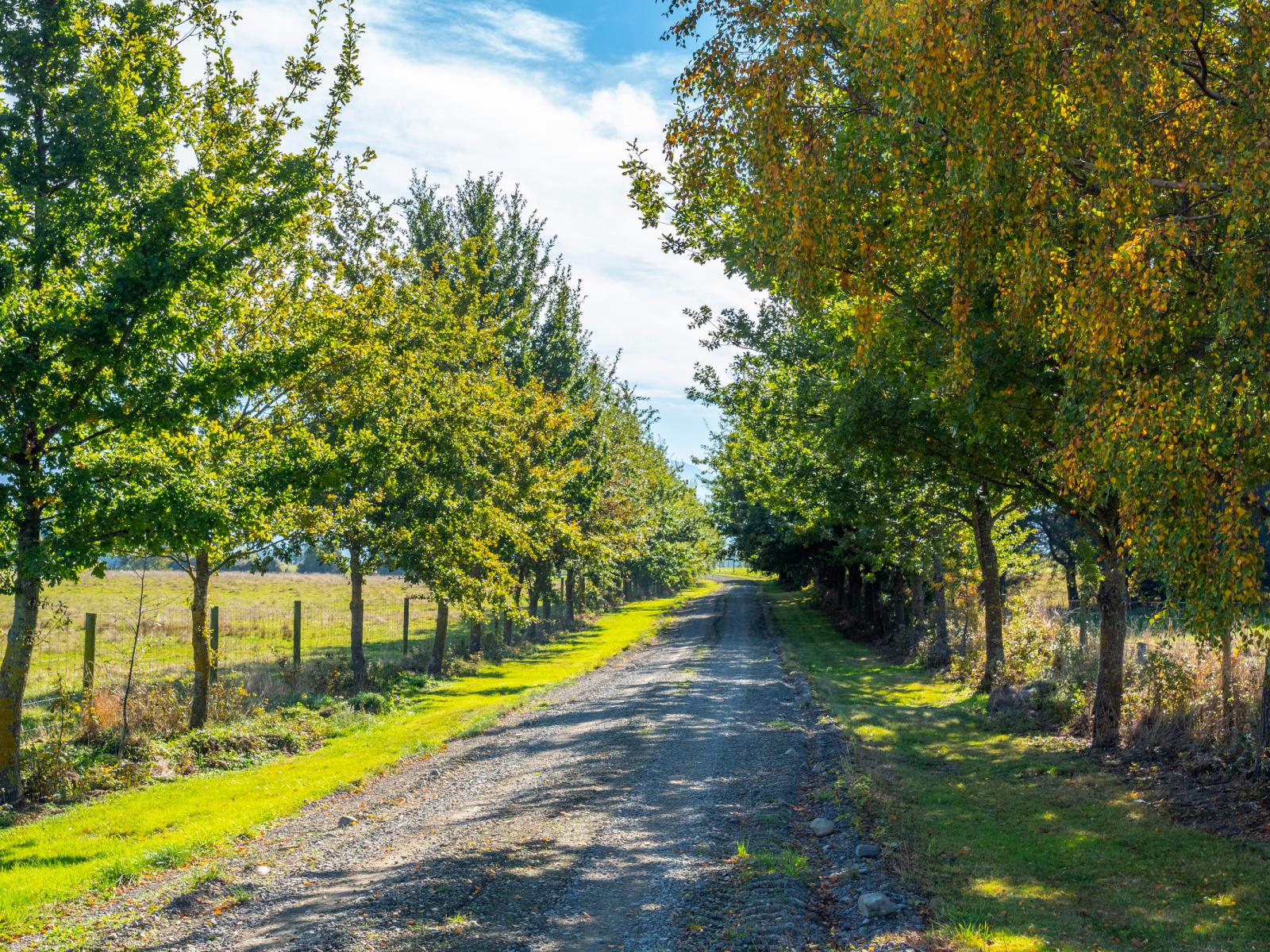 24 Guthrie Road, Geraldine