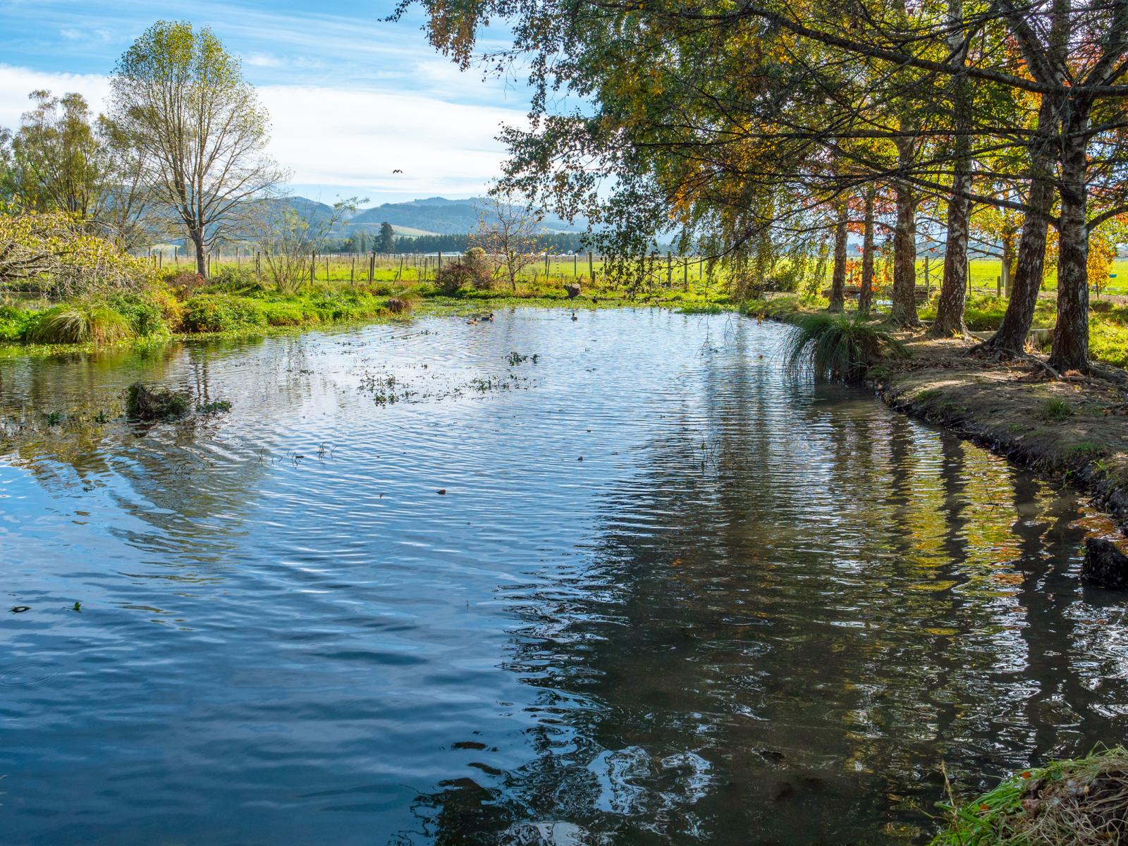 24 Guthrie Road, Geraldine