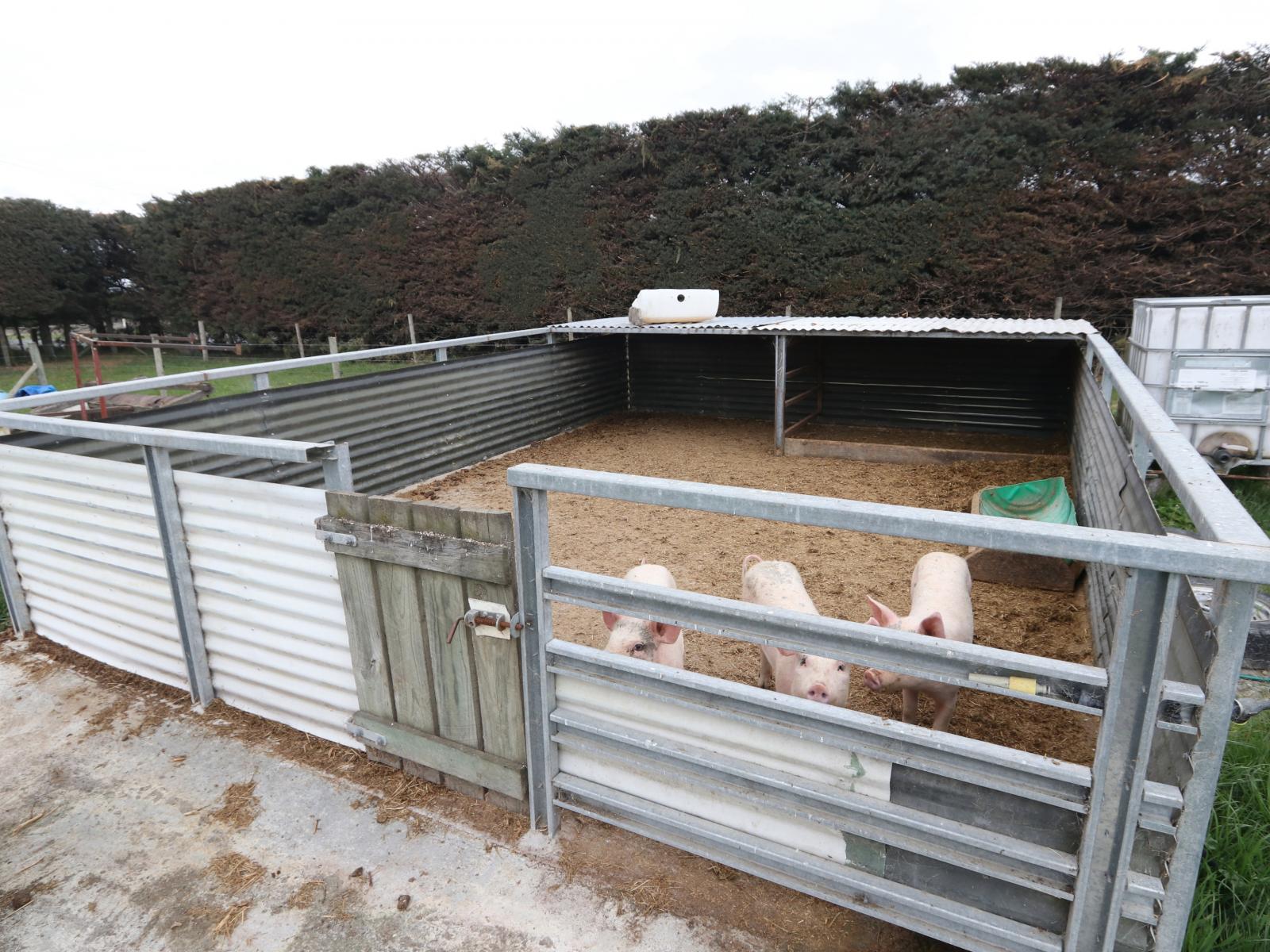 18 Thews Road, Tinwald