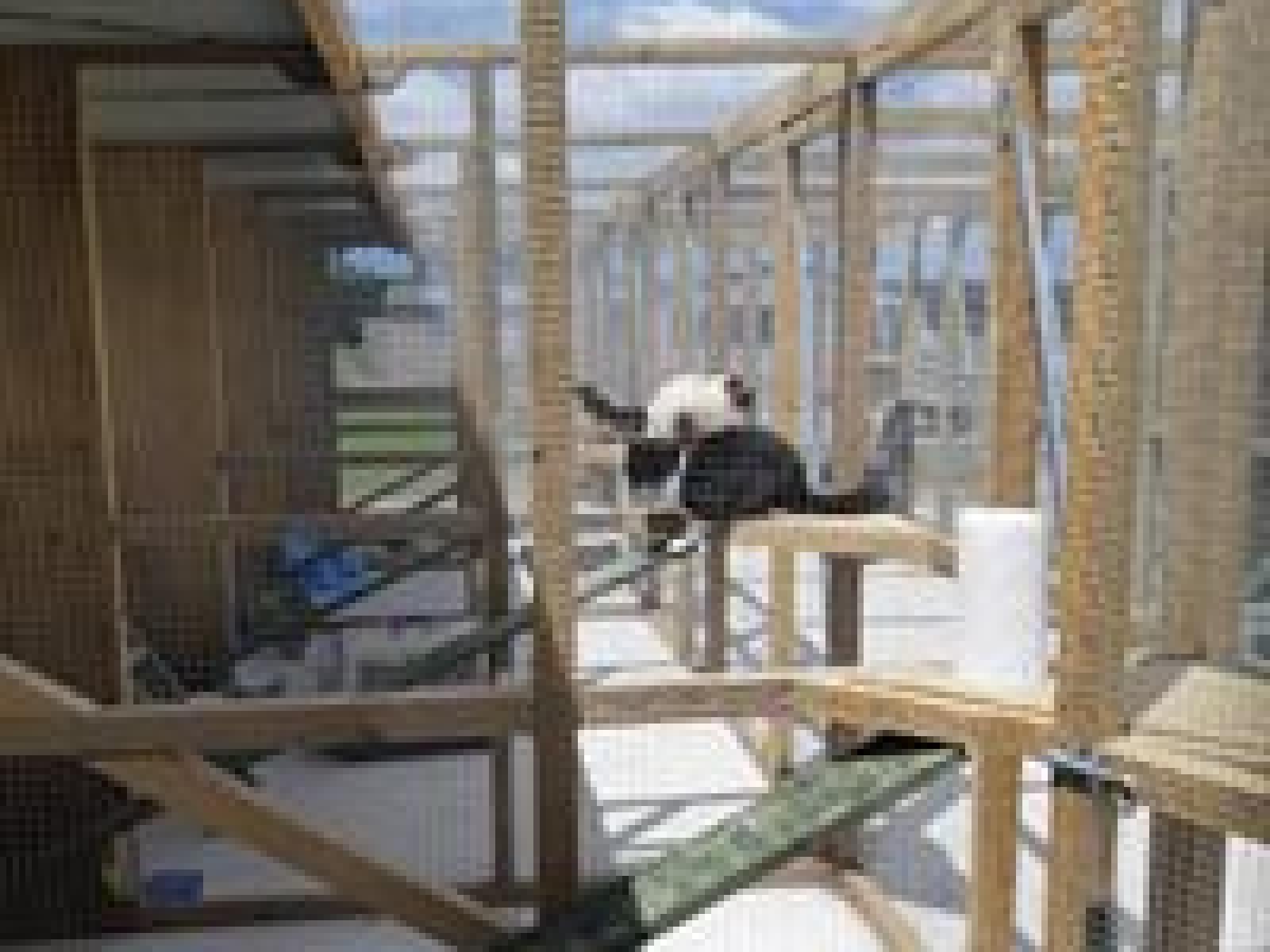 18 Thews Road, Tinwald