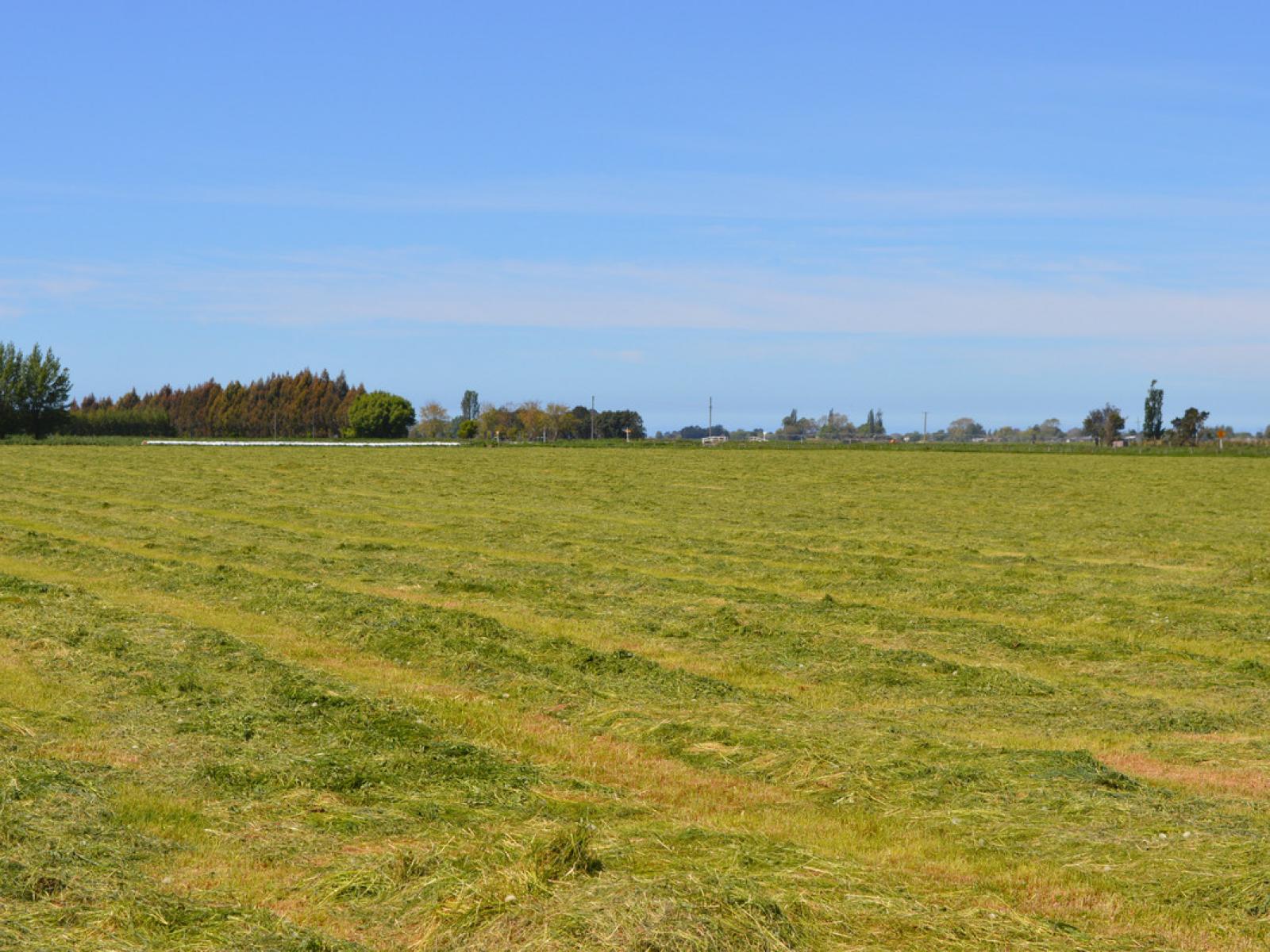 59 North Town Belt, Temuka