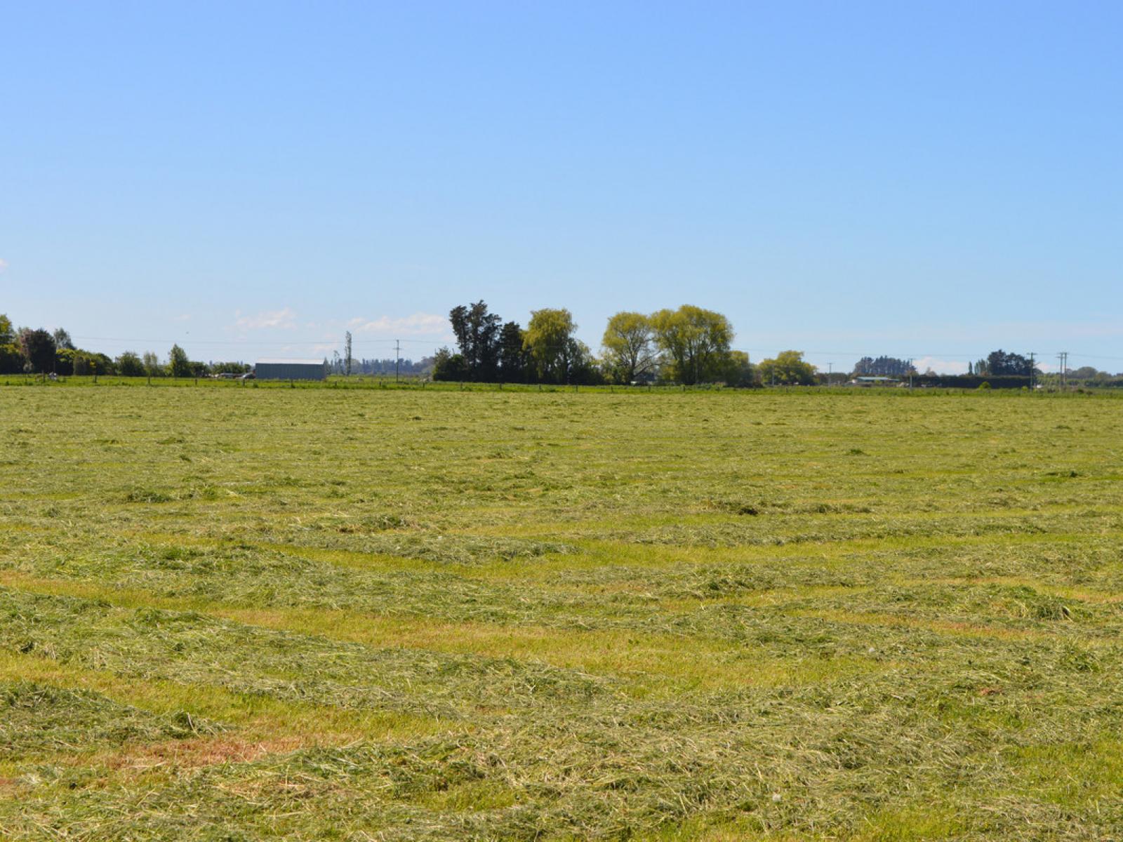 59 North Town Belt, Temuka