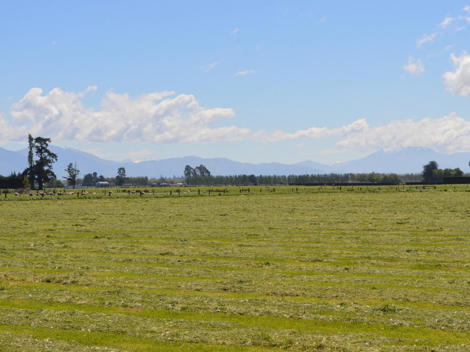 59 North Town Belt, Temuka