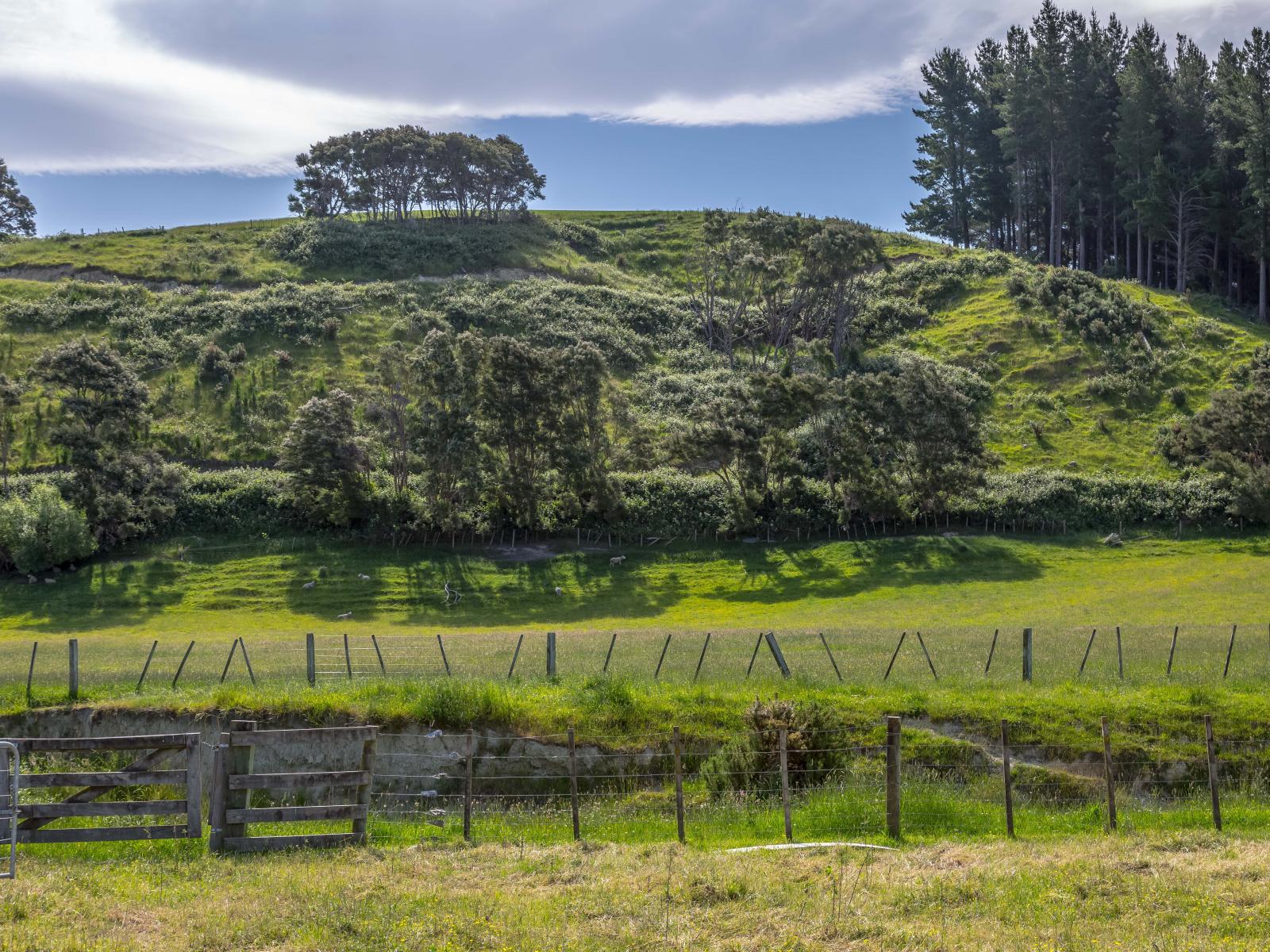 1347 Ponatahi Road, Carterton