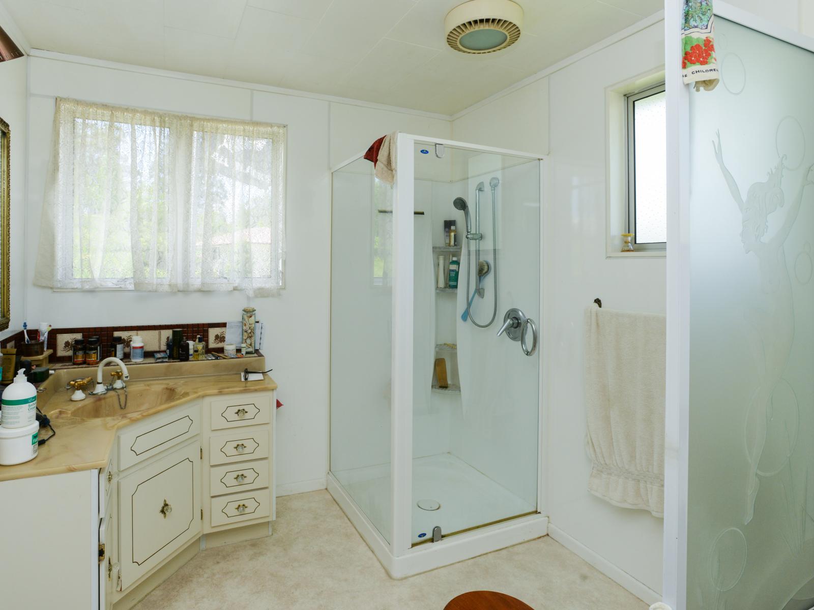 9 Limbrick Street, Waipawa