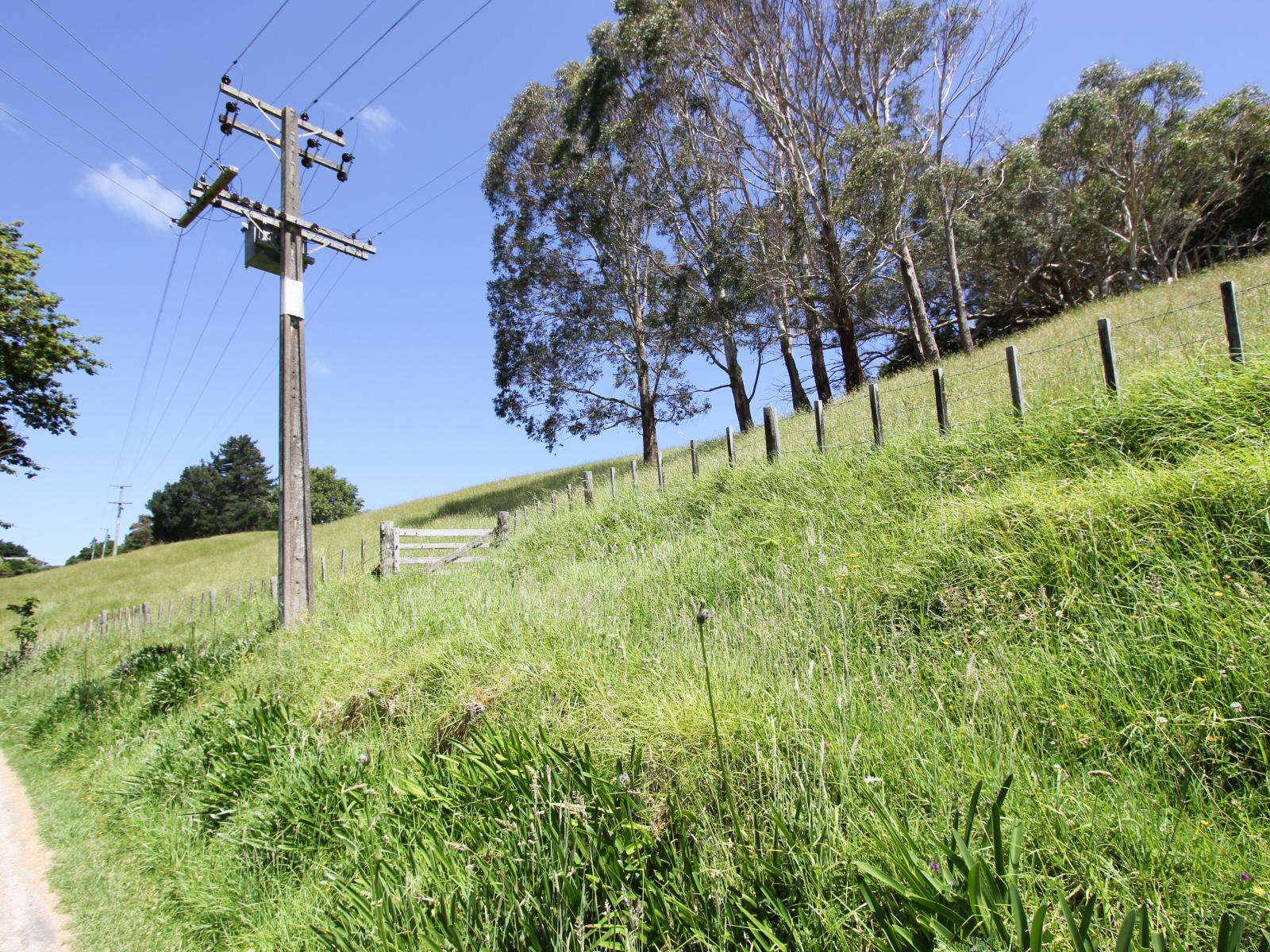 13C Nepia Road, Marybank