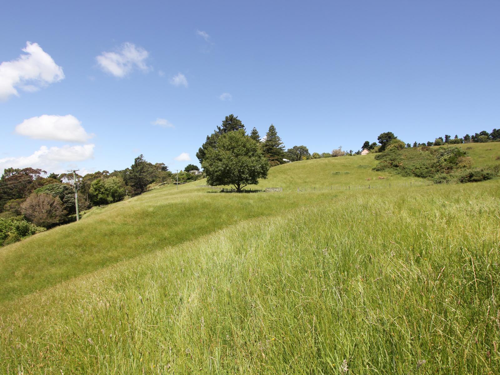 13C Nepia Road, Marybank